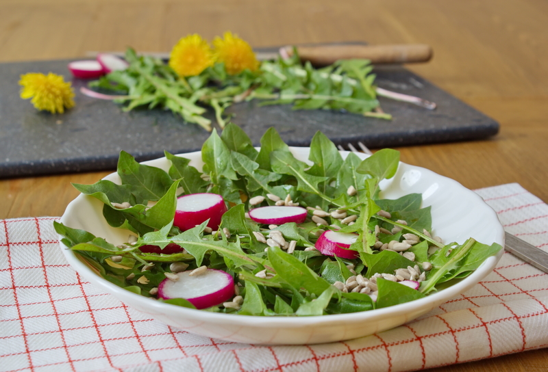 garden care landscape design