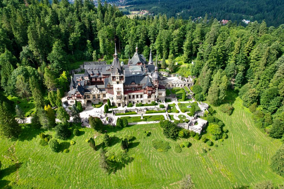 A large, well-maintained garden in front of a castle-like building with a cream-colored facade and battlement-style parapets. The garden features lush green grass, neatly trimmed hedges, and a variety of trees including palm trees and dense shrubs. The soil areas appear moist and dark, indicative of recent maintenance or watering. A gravel pathway runs through the garden, leading towards the building, while small round lights are positioned along the edges of the lawn. The overall scene is illuminated by bright, natural daylight with a clear blue sky overhead, creating a vibrant and inviting outdoor space. This landscape demonstrates careful gardening work with neatly shaped borders and healthy vegetation, typical of garden maintenance and landscaping undertaken by gardenersselephantandcastle.org.uk.