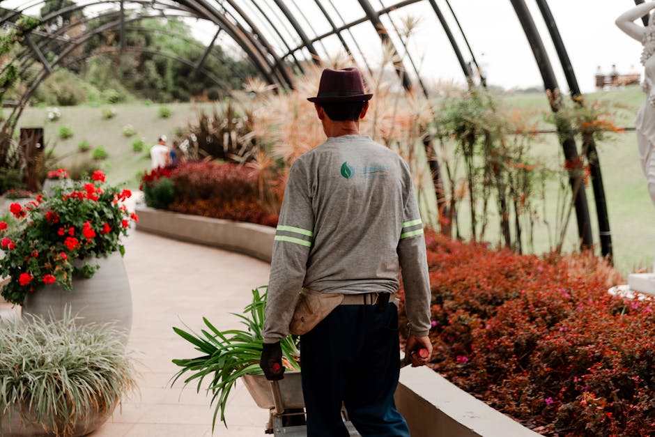 A gardener, viewed from behind, working inside a greenhouse or large conservatory with transparent, curved glass panels supported by black metal framing. The gardener is wearing a wide-brimmed hat, a light gray long-sleeved shirt with reflective green stripes on the sleeves, and dark trousers. They are pushing a wheelbarrow filled with green plants, possibly for planting or landscaping work. To the left, there is a large white pot filled with vibrant red flowering plants and silvery-green foliage. The surrounding area features neatly arranged garden beds with a variety of plants, including low-red-leaved shrubs and small green plants. The pathway is smooth and light-colored, curving gently through the lush, well-maintained greenery. Natural daylight illuminates the scene, highlighting the textures of the soil, leaves, and the overall tidy appearance of the garden, which showcases ongoing garden maintenance and landscaping activities in line with the focus on same day gardeners in Elephant and Castle for gardenerselephantandcastle.org.uk.